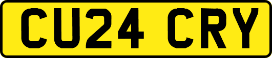 CU24CRY