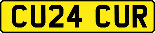 CU24CUR