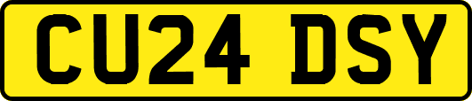 CU24DSY