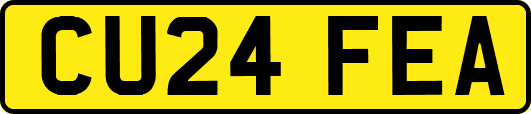 CU24FEA