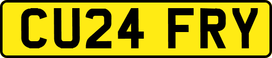 CU24FRY