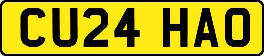 CU24HAO