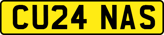CU24NAS