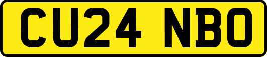 CU24NBO