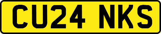 CU24NKS
