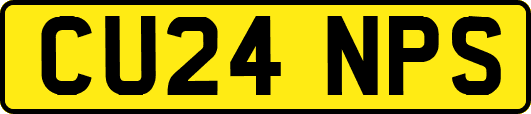 CU24NPS