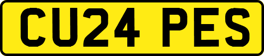 CU24PES