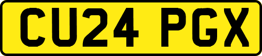 CU24PGX