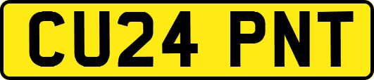 CU24PNT