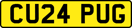 CU24PUG