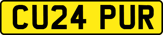 CU24PUR
