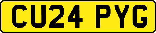 CU24PYG