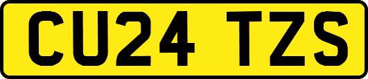 CU24TZS
