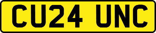 CU24UNC