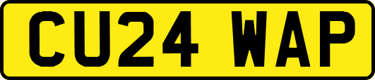 CU24WAP