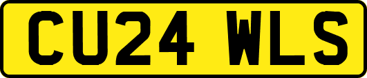 CU24WLS