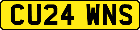 CU24WNS