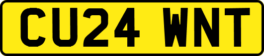 CU24WNT