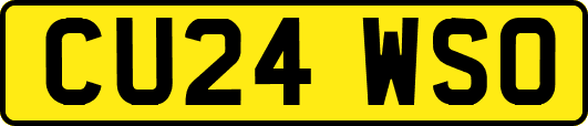 CU24WSO