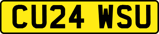 CU24WSU