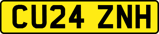 CU24ZNH