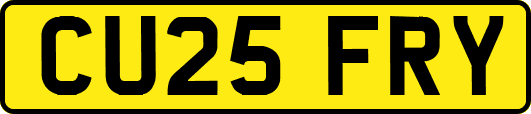 CU25FRY