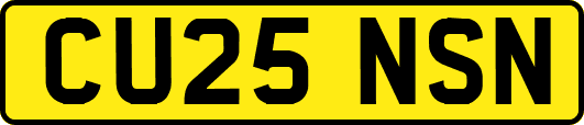 CU25NSN