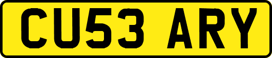 CU53ARY