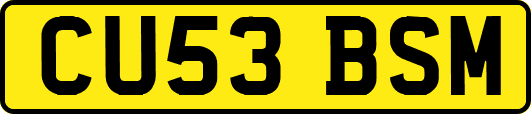CU53BSM