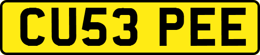 CU53PEE