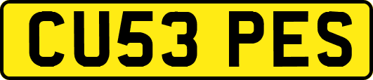 CU53PES