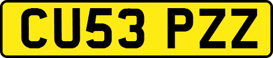 CU53PZZ