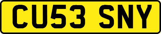 CU53SNY
