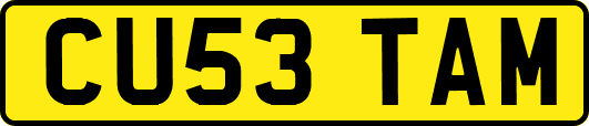 CU53TAM