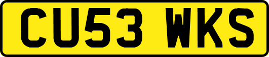 CU53WKS