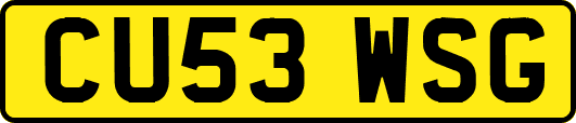 CU53WSG
