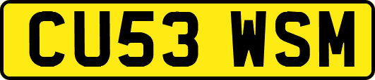 CU53WSM
