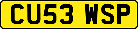 CU53WSP
