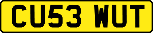 CU53WUT