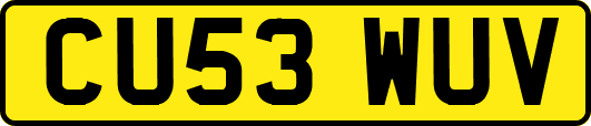 CU53WUV