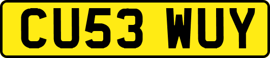 CU53WUY