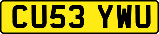 CU53YWU