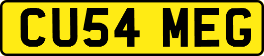 CU54MEG