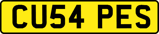 CU54PES