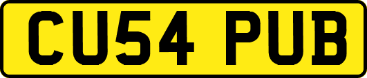 CU54PUB