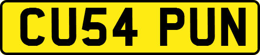 CU54PUN