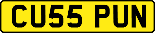 CU55PUN