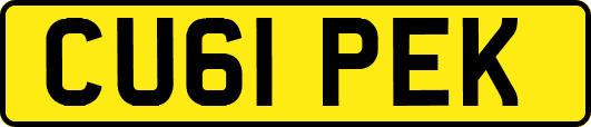 CU61PEK