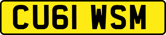 CU61WSM