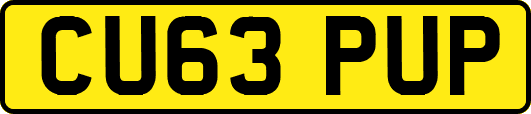 CU63PUP